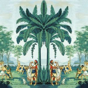 schienale 1b